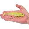 Berkley PowerBait CullShad Fishing Soft Bait(Lime Ice)