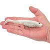 Berkley PowerBait CullShad Fishing Soft Bait(Sight Flash)