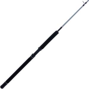 Penn Prevail III Boat Conventional Fishing Rod(6′ – Heavy – 1)