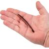 Berkley Crawler Fishing Soft Bait(Nightcrawler)