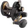 Penn 1292932 Fathom 25N Lever 2-Speed Lever Drag Fishing Reel, Black(25n-left Hand)