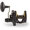 Penn 1292932 Fathom 25N Lever 2-Speed Lever Drag Fishing Reel, Black(30)
