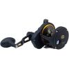 Penn 1292932 Fathom 25N Lever 2-Speed Lever Drag Fishing Reel, Black(30)