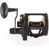 Penn 1292932 Fathom 25N Lever 2-Speed Lever Drag Fishing Reel, Black(60)