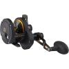 Penn Fishing Fathom Lever Drag 2 Speed Conventional Fishing Reel