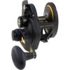 Penn 1292932 Fathom 25N Lever 2-Speed Lever Drag Fishing Reel, Black(25n-left Hand)