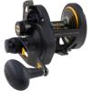 Penn 1292932 Fathom 25N Lever 2-Speed Lever Drag Fishing Reel, Black(30)