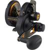 Penn Fishing Fathom Lever Drag 2 Speed Conventional Fishing Reel