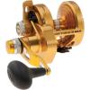 Penn Torque Gold Lever Drag Reel(25)