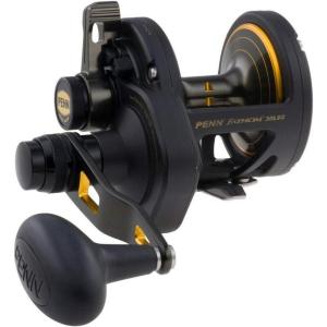 Penn 1292934 Fathom 40N Lever 2-Speed Lever Drag Fishing Reel(30)