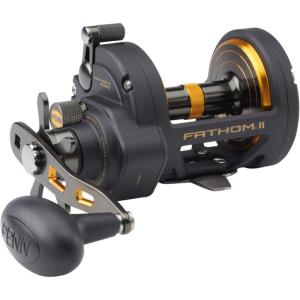Penn Fathom II Star Drag Reel, Size 40 Fishing Reel, Right Handle Position, Black Gold(40SD)