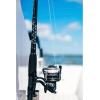 Penn Pursuit V Spinning Reel(Pursuit Iii)