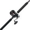 Penn Warfare Star Drag Fishing Rod and Reel Conventional Combo(Old Model)