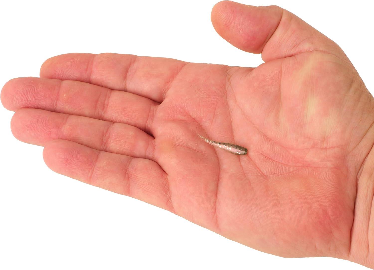image:imageBerkley PowerBait Minnow Fishing Soft Bait Smelt 4in