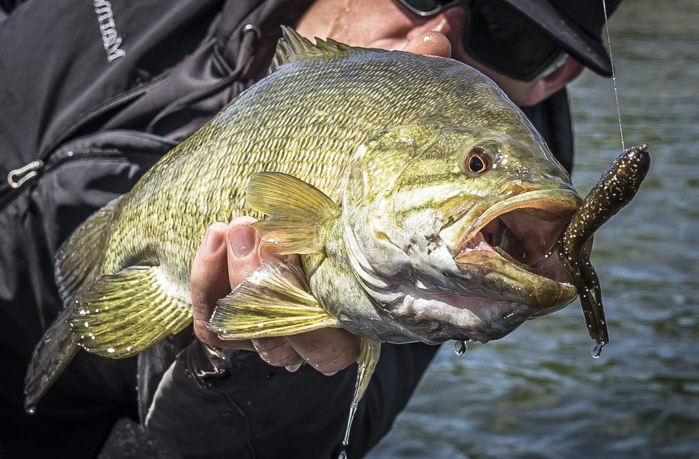 image:imageBerkley PowerBait Power Tube Fishing Soft BaitGreen Pumpkin