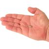 Berkley PowerBait Minnow Fishing Soft Bait, Smelt, 4in