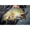 Berkley PowerBait Power Tube Fishing Soft Bait(Green Pumpkin)
