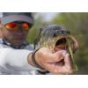 Berkley Water Bug – Soft Plastic Fishing Lure – Bass – 1pc