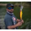 Berkley Berkley Bad Shad(Gilly)