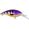Berkley Money Badger Fishing Hard Bait(Viking Perch)
