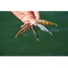 Berkley Scented Flicker Shad Fishing Hard Bait(Black Silver (Single))