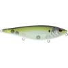 Pilchard