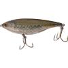 Mangrove Minnow