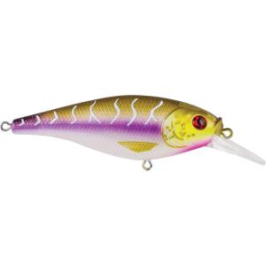 Berkley PBBPT(Purple Tiger)