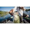 Berkley Powerbait Buzz’n Speed Toad(Black)