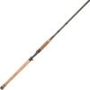 fenwick HMX Salmon/Steelhead Casting Fishing Rod(10′)