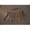 Berkley Berkley PowerBait MaxScent Hit Worm(Plum Apple)