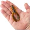 Berkley PowerBait Crazy Legs Chigger Craw Soft Plastic Lure, 8 Pack, Bass Fishing(Alabama Craw)