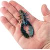 Berkley PowerBait Crazy Legs Chigger Craw Soft Plastic Lure, 8 Pack, Bass Fishing(Okeechobee Craw)