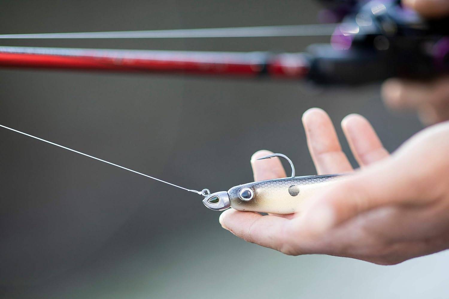 image:imageBerkley PowerBait Hollow Belly Swimbait Fishing Bait 5 Tennessee Shad 3 Count